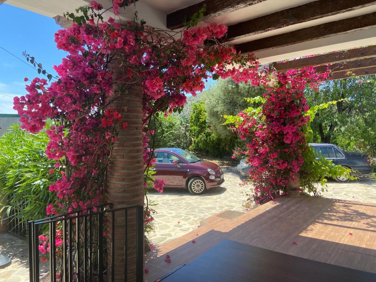 Villa Zahar Periana Extérieur photo